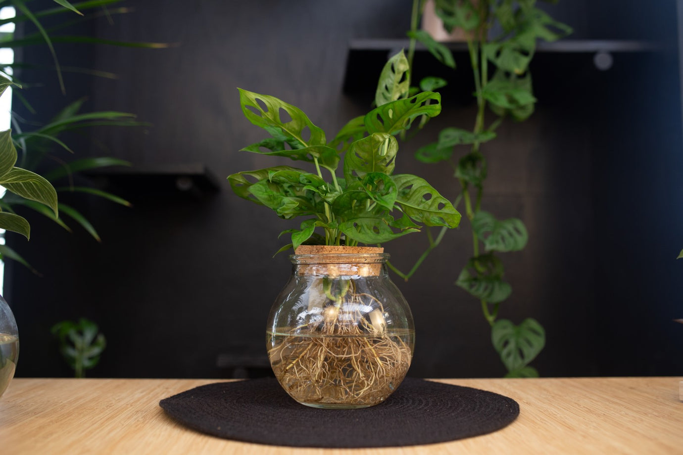 Planten op water