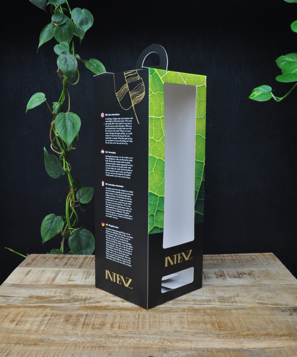 Luxe cadeauverpakking voor lichtplant | BOLGLAS | Groen cadeau met klasse