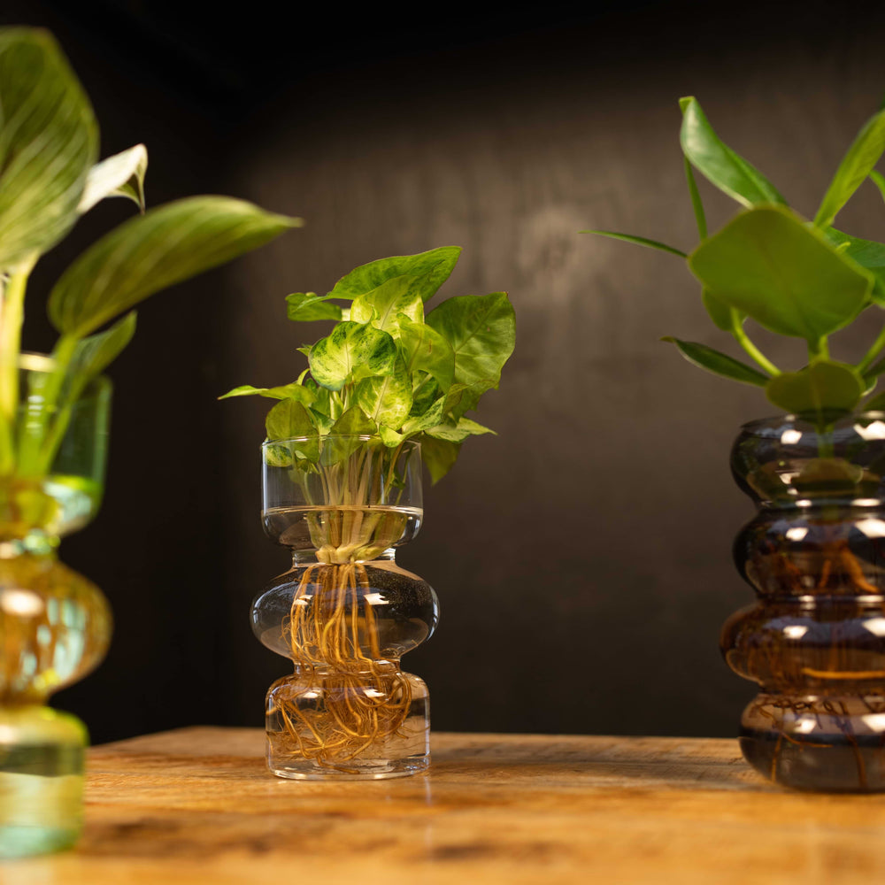 Intenz Valencia (13)