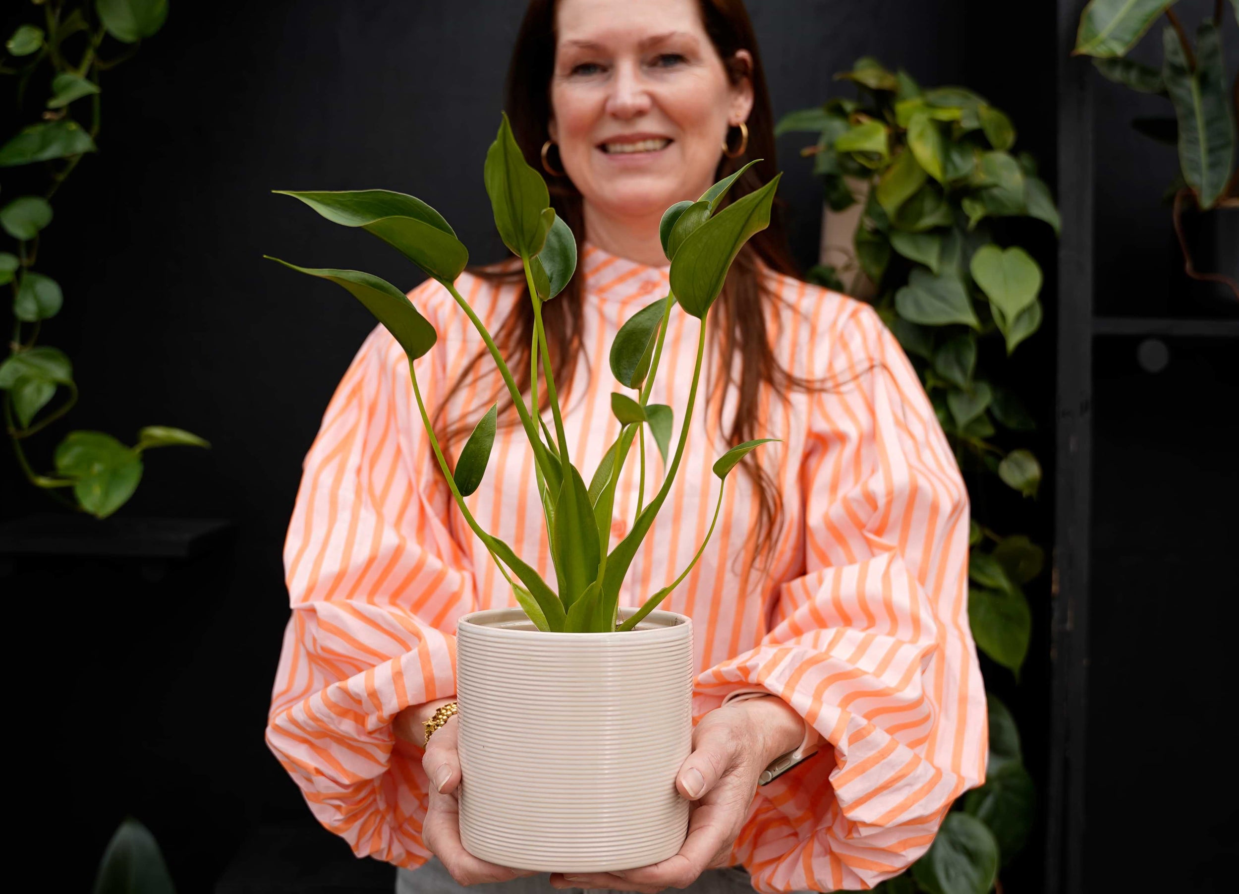 Even opladen doe je met … planten!