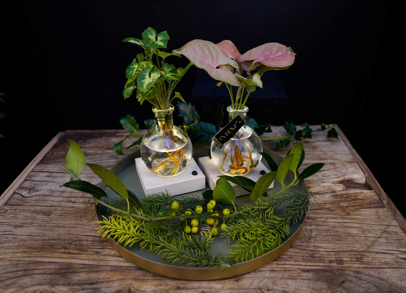 Planten op water als kerstdecoratie