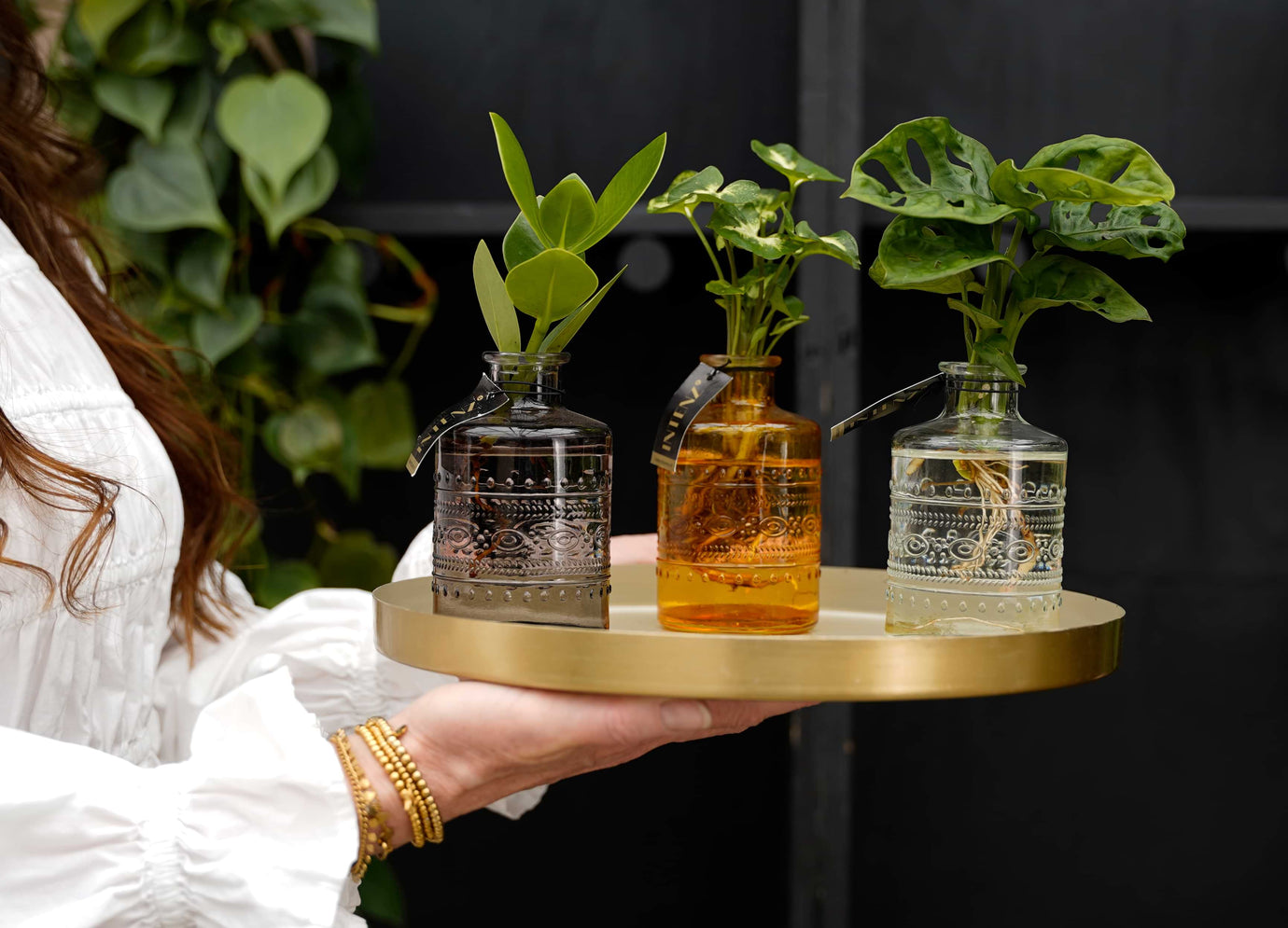 Kerstboom eruit, kamerplant erin