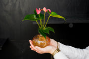 Origineel Moederdag cadeau met een groene twist
