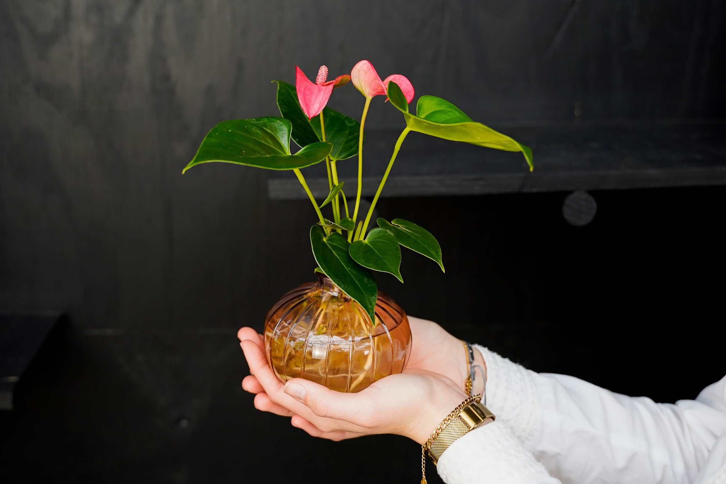 Origineel Moederdag cadeau met een groene twist