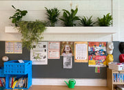 Planten in de klas