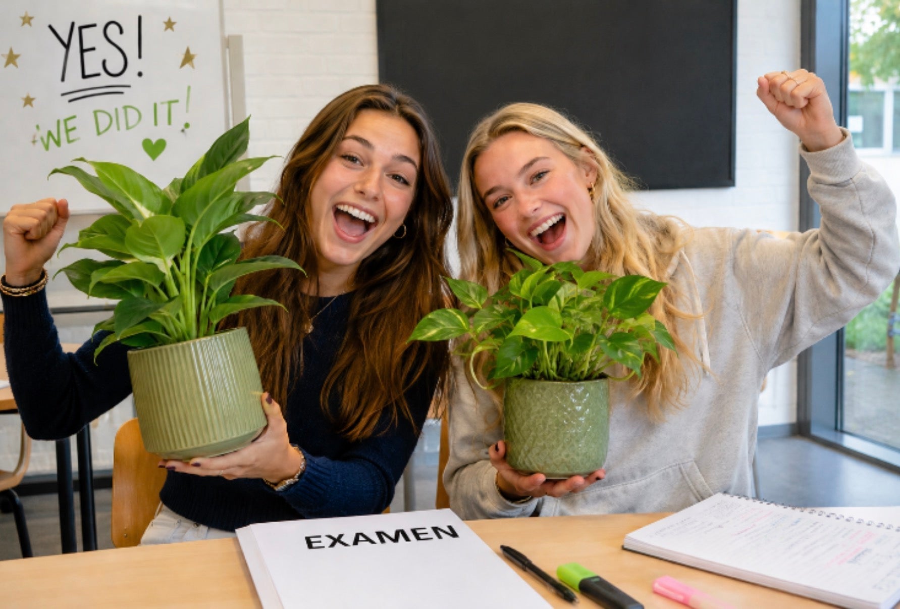 Waarom een ‘plantpauze’ je brein écht tot rust brengt