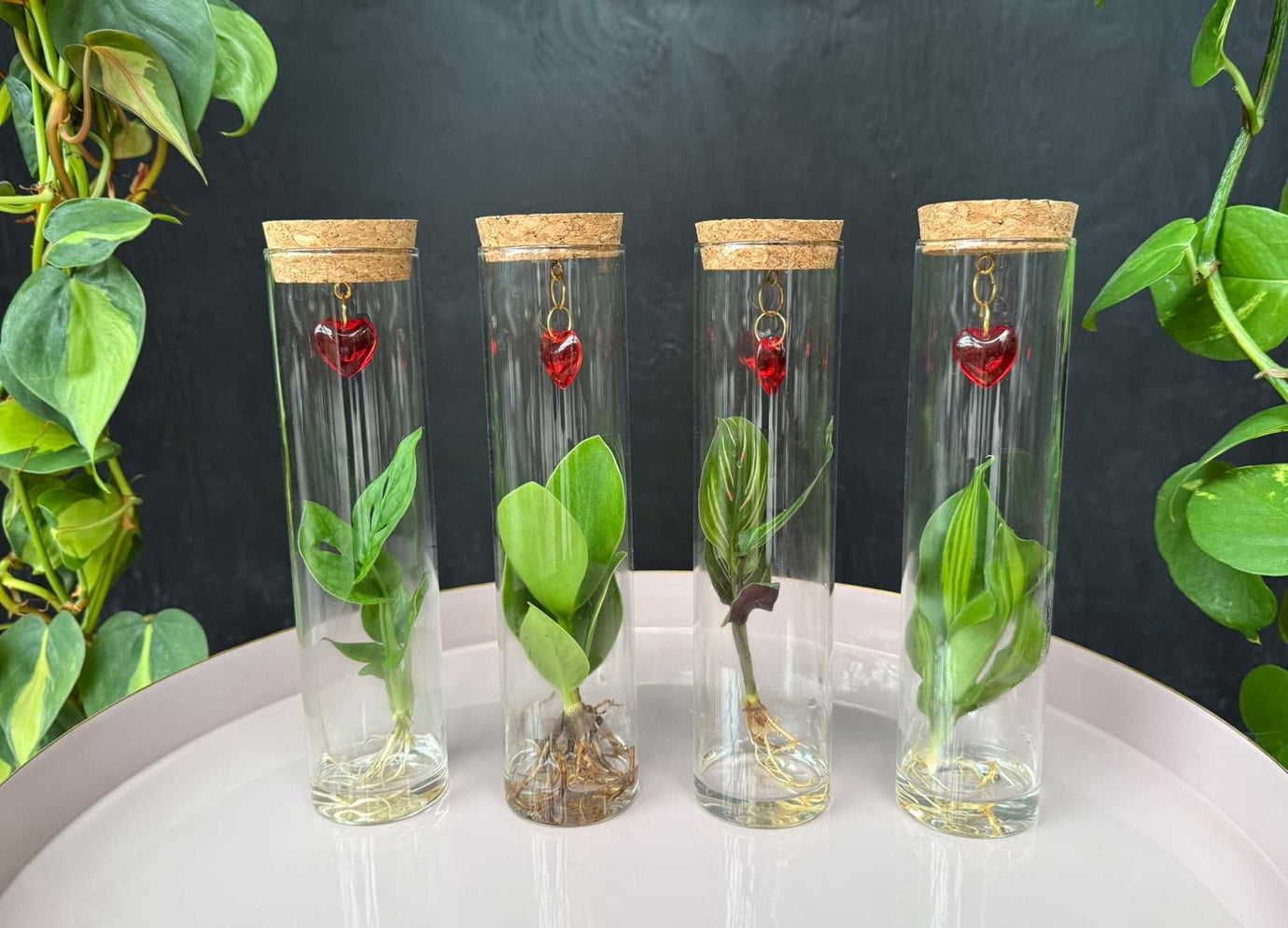 Een sfeervol Valentijnscadeau