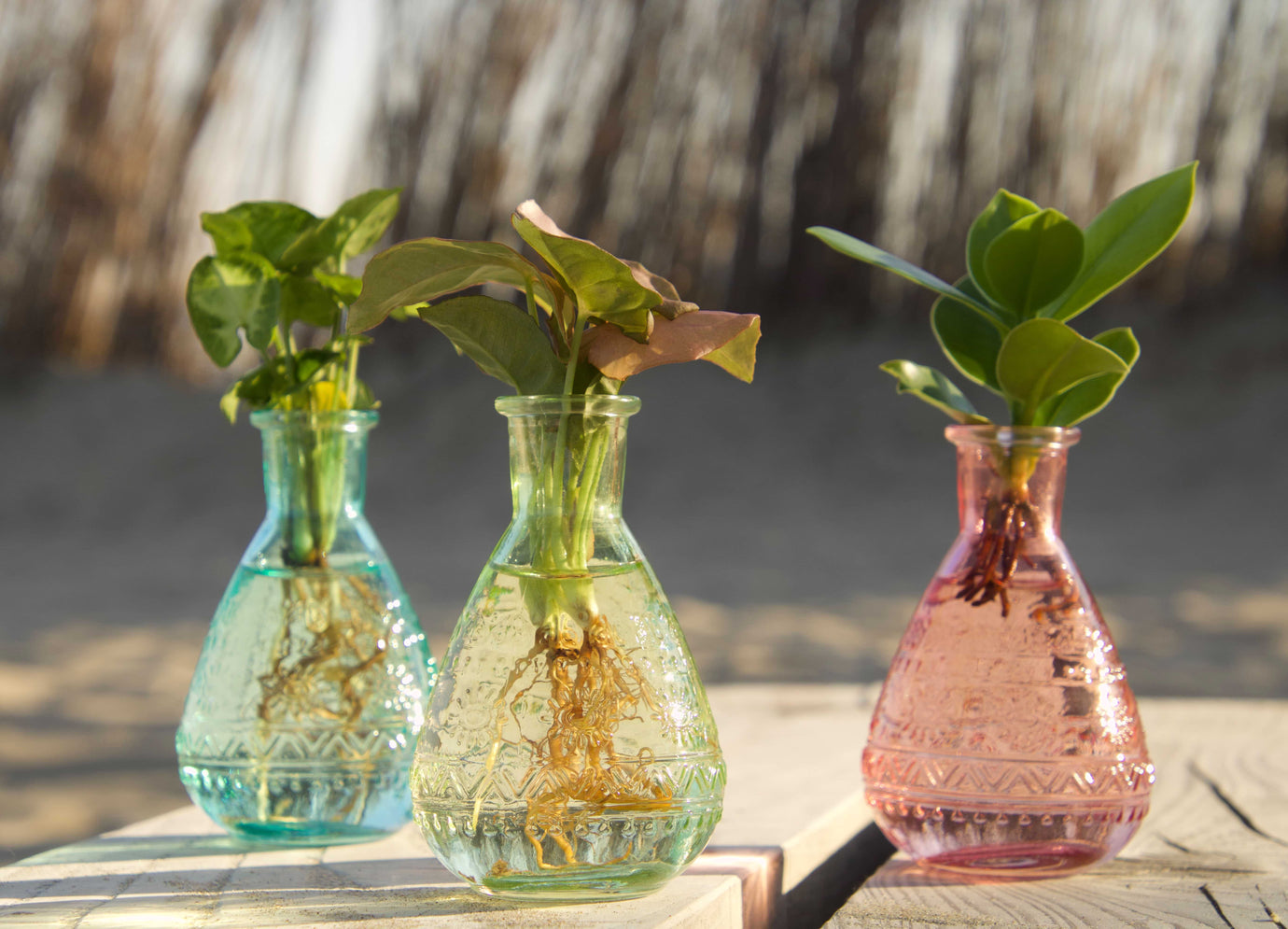 Voorjaarsgevoel creëren zonder alles te veranderen