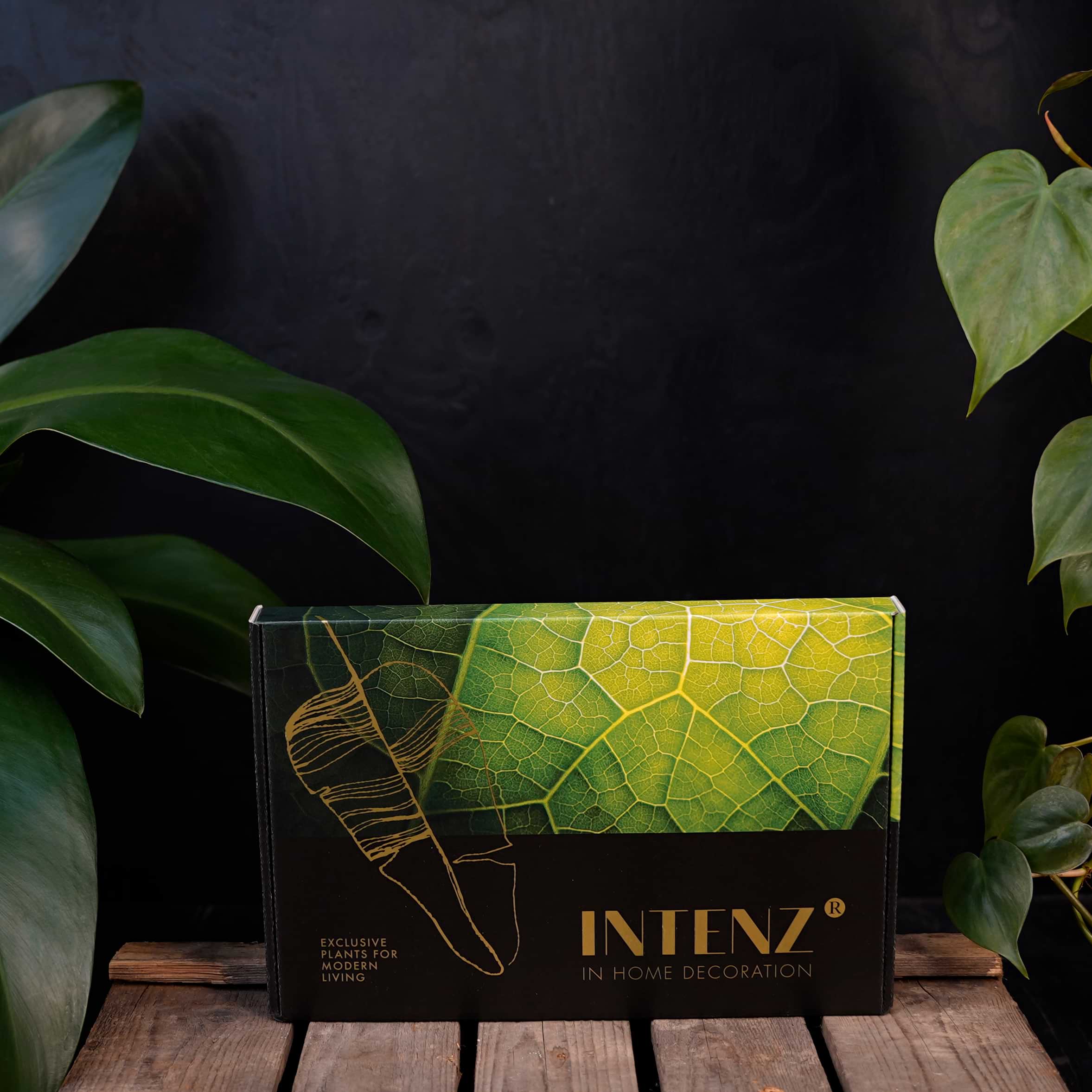 Hydroponie | GiftBox | Brievenbuspakketje
