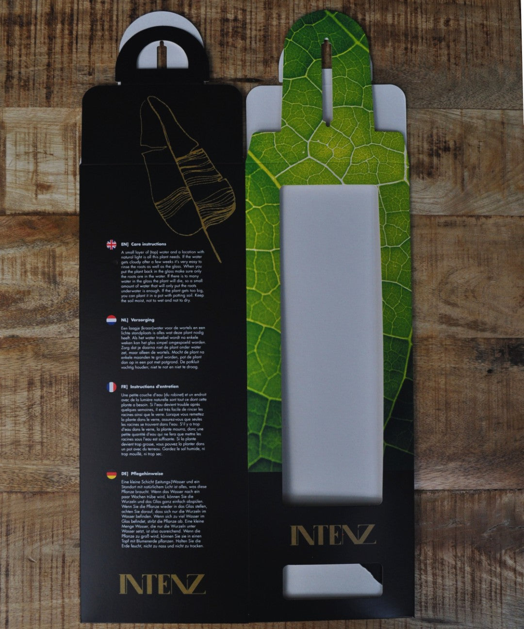 Luxe cadeauverpakking voor lichtplant | BOLGLAS | Groen cadeau met klasse