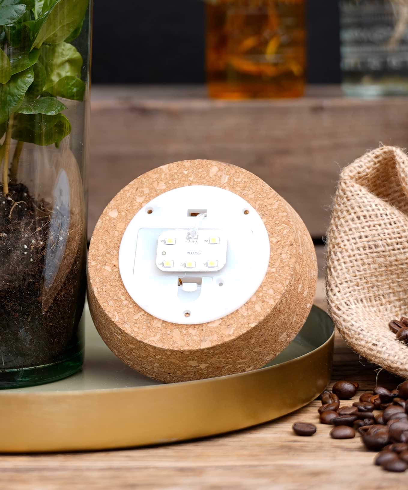 Koffieplant | Coffea Arabica | Luma Flora (binnenkort beschikbaar)