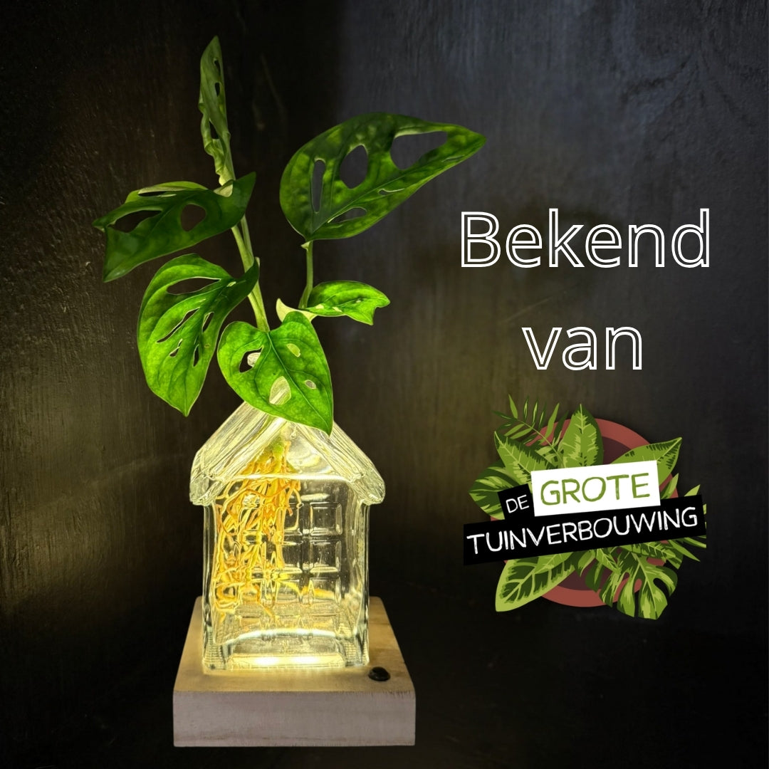 OSLO | Het glazen huis(je) +LED + stek naar keuze