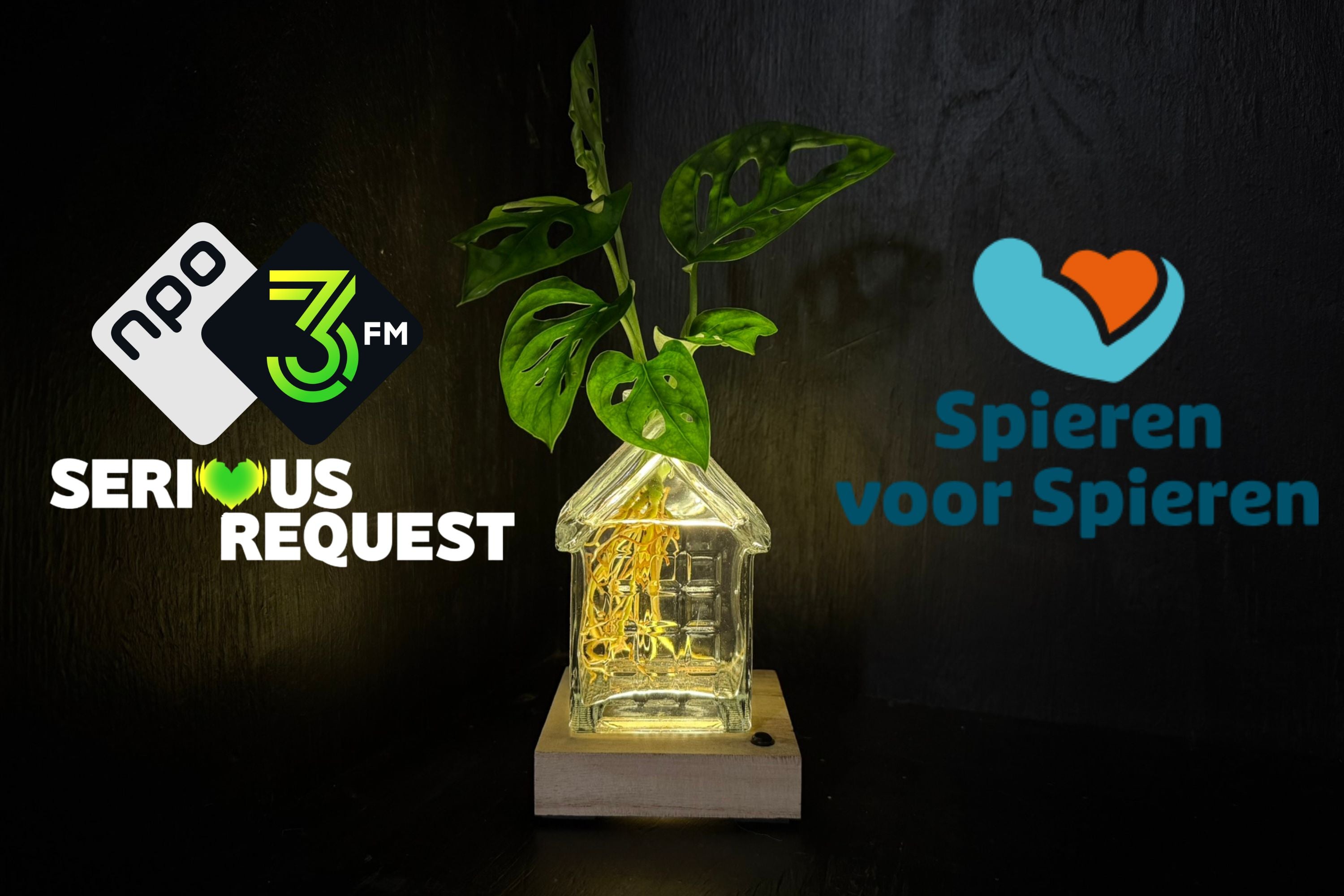 SERIOUS REQUEST | Het glazen huis(je) +LED + stek naar keuze