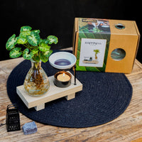 Intenz Wellness box