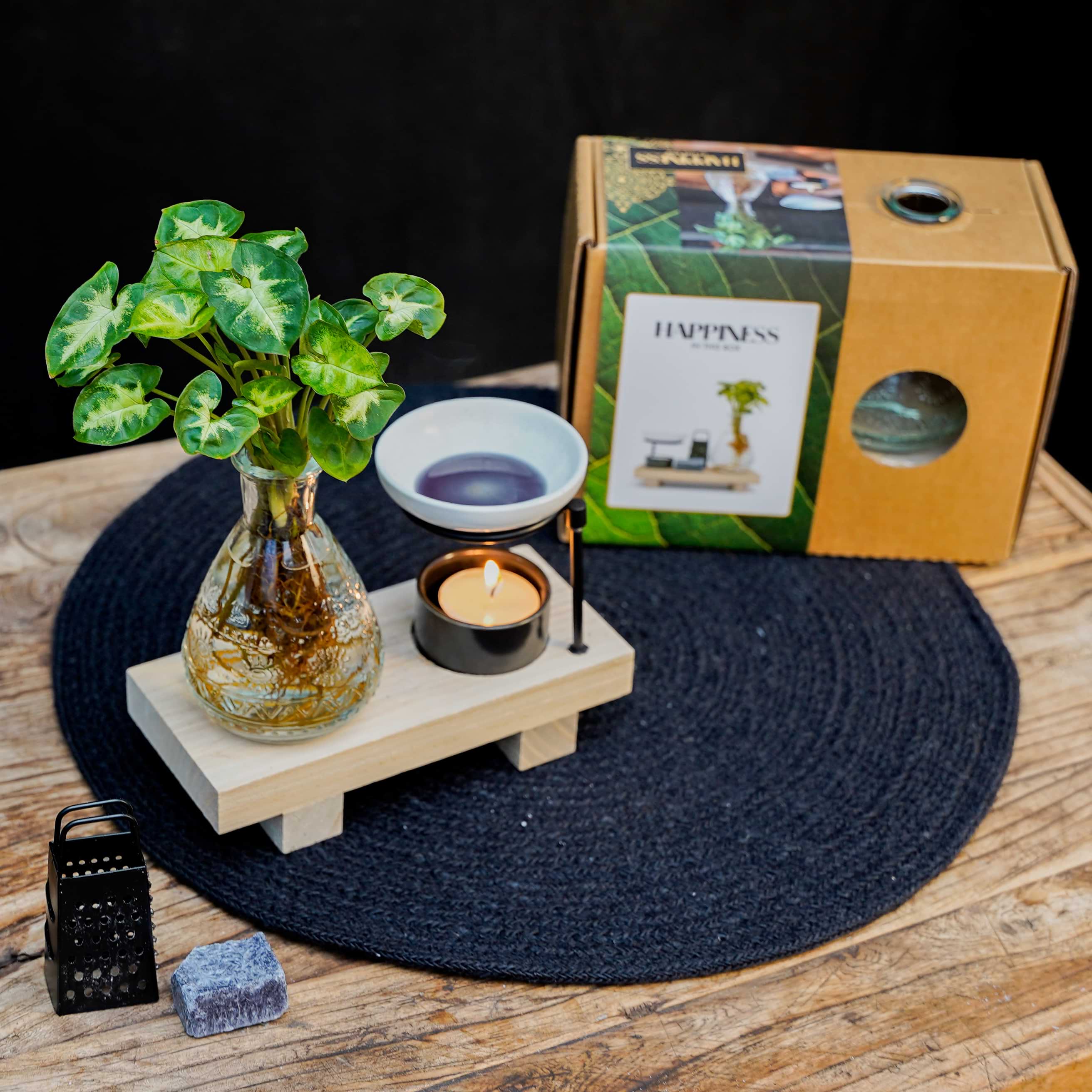 Intenz Wellness box