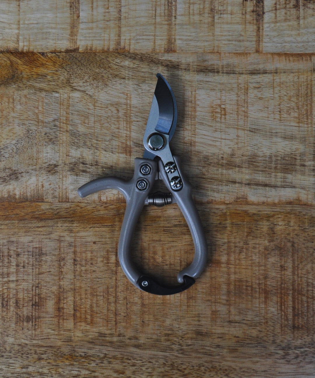 Klein snoeischaartje | My Garden