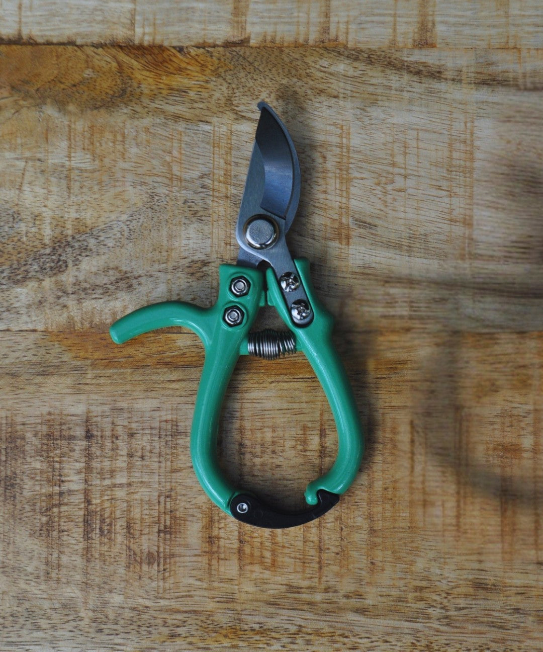 Klein snoeischaartje | My Garden