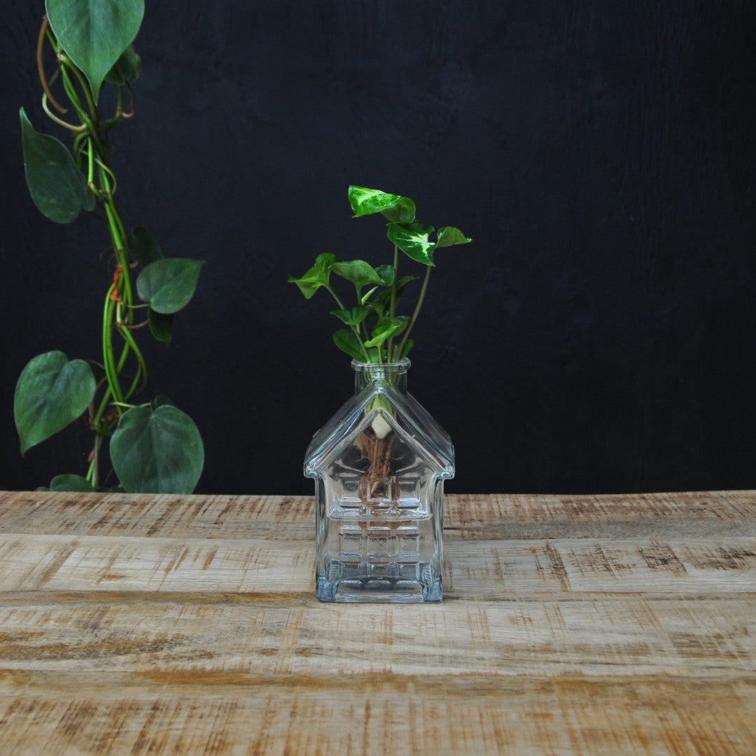 INTENZ® | OSLO | Glazen huisvaasje met plant op water | stek keuze